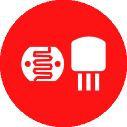 I/O Pins